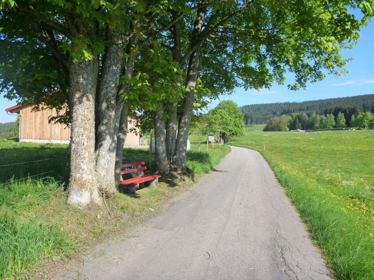 Gaestehaus Hundelbach Lenzkirch Exterior photo